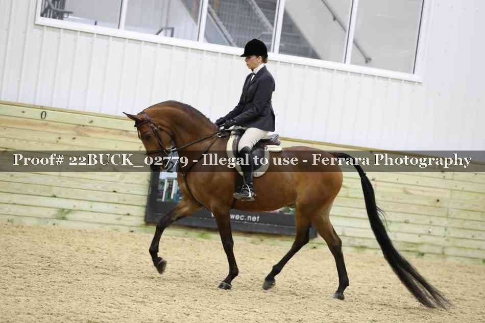 Proof 22BUCK_02779