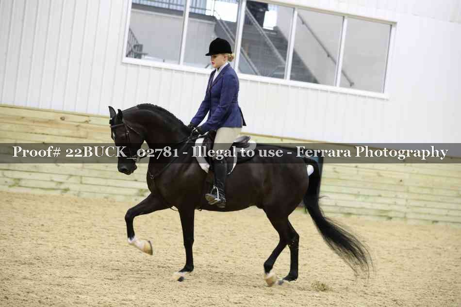 Proof 22BUCK_02781