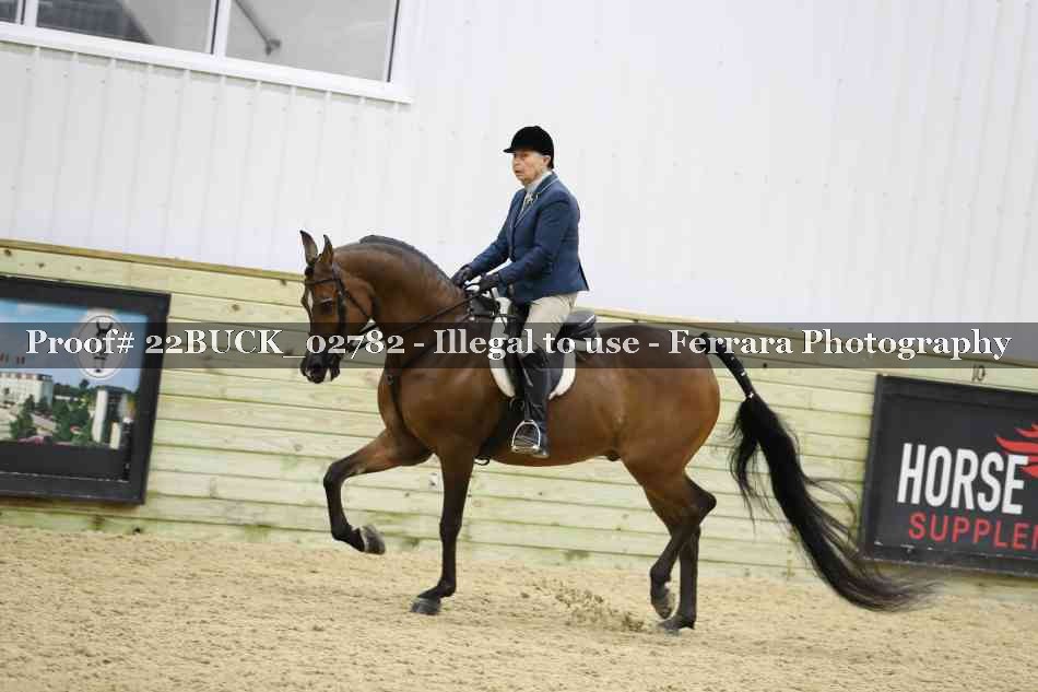 Proof 22BUCK_02782
