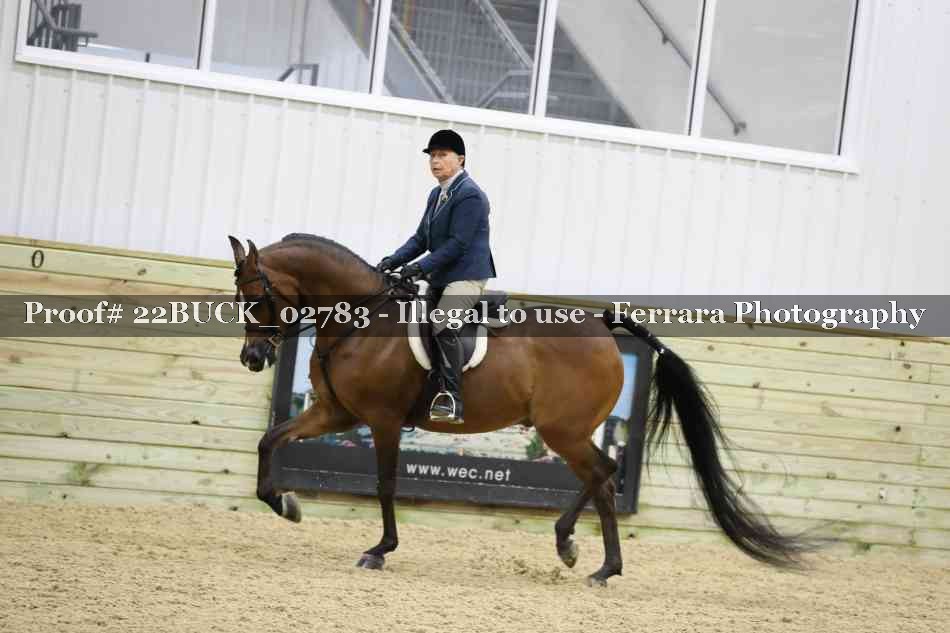 Proof 22BUCK_02783