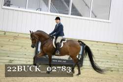 22BUCK_02783 proof