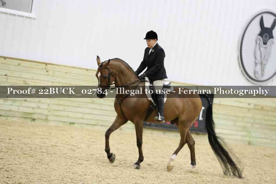 Proof 22BUCK_02784