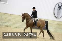 22BUCK_02784 proof