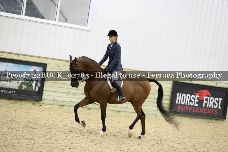Proof 22BUCK_02785