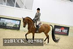 22BUCK_02786 proof