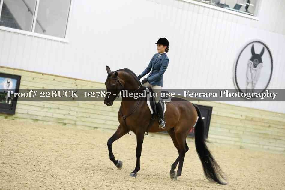 Proof 22BUCK_02787