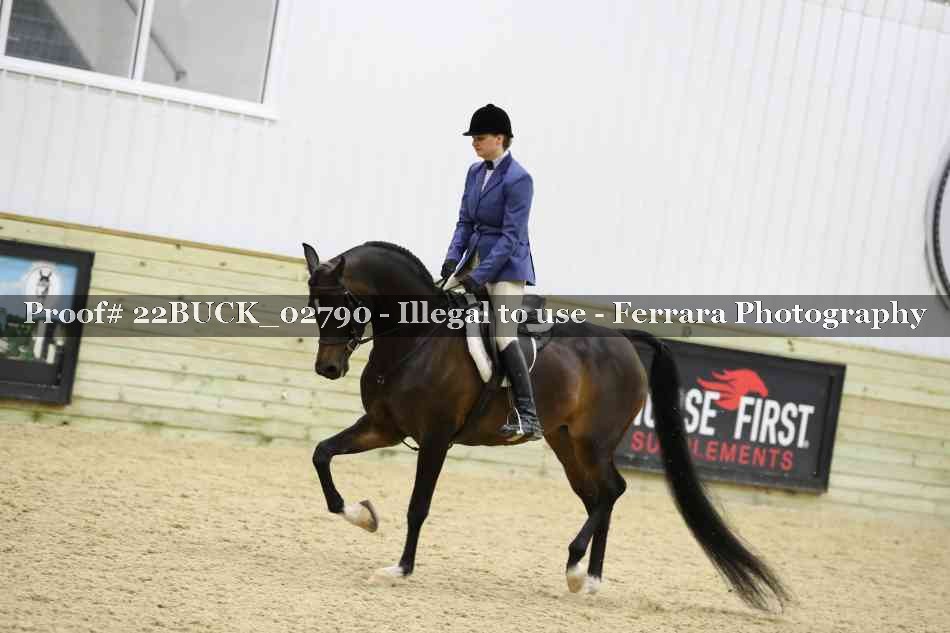 Proof 22BUCK_02790