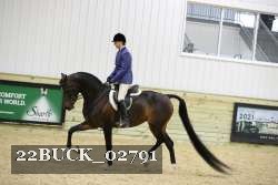 22BUCK_02791 proof