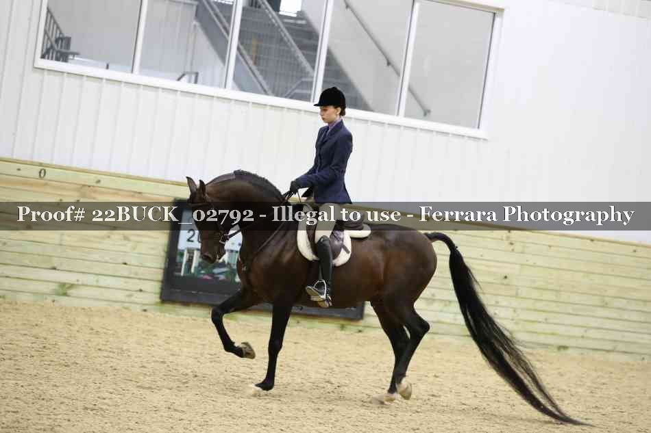 Proof 22BUCK_02792