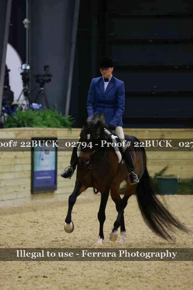 Proof 22BUCK_02794