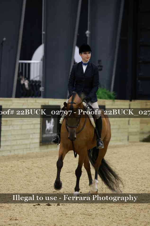 Proof 22BUCK_02797