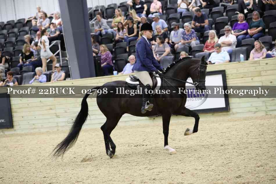 Proof 22BUCK_02798