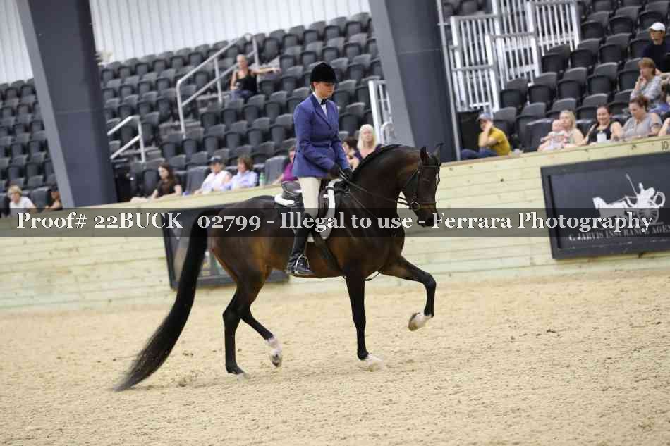 Proof 22BUCK_02799