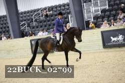 22BUCK_02799 proof