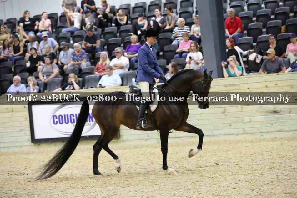 Proof 22BUCK_02800