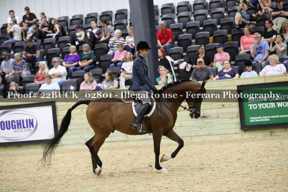 Proof 22BUCK_02801