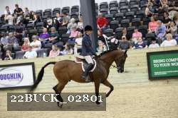22BUCK_02801 proof