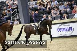 22BUCK_02802 proof