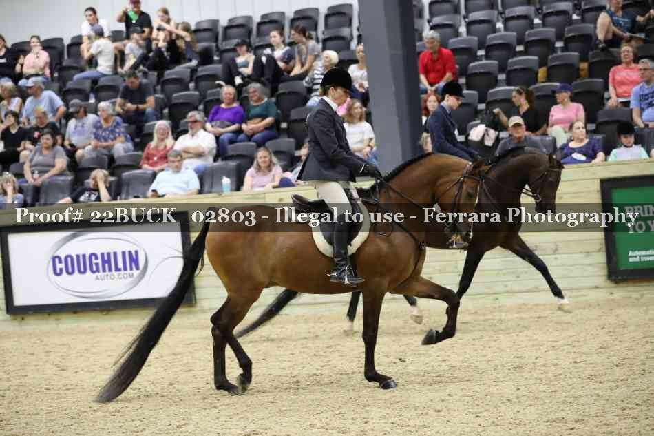 Proof 22BUCK_02803