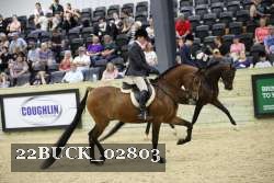 22BUCK_02803 proof