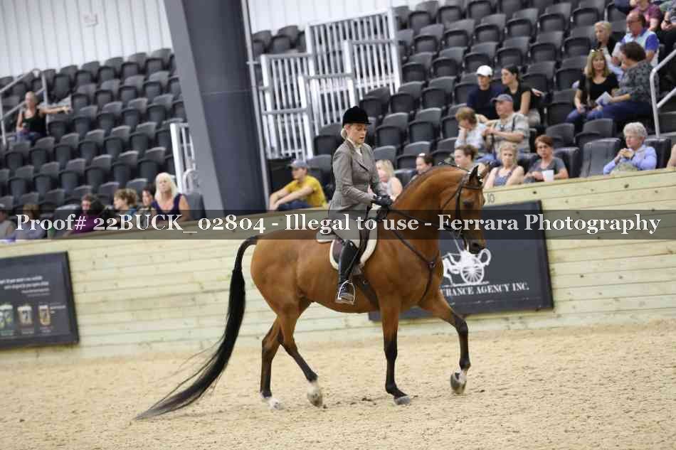 Proof 22BUCK_02804
