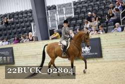 22BUCK_02804 proof