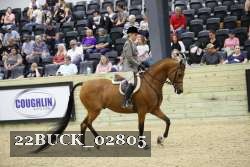 22BUCK_02805 proof