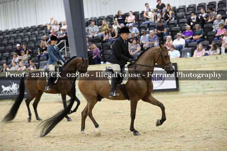 Proof 22BUCK_02806