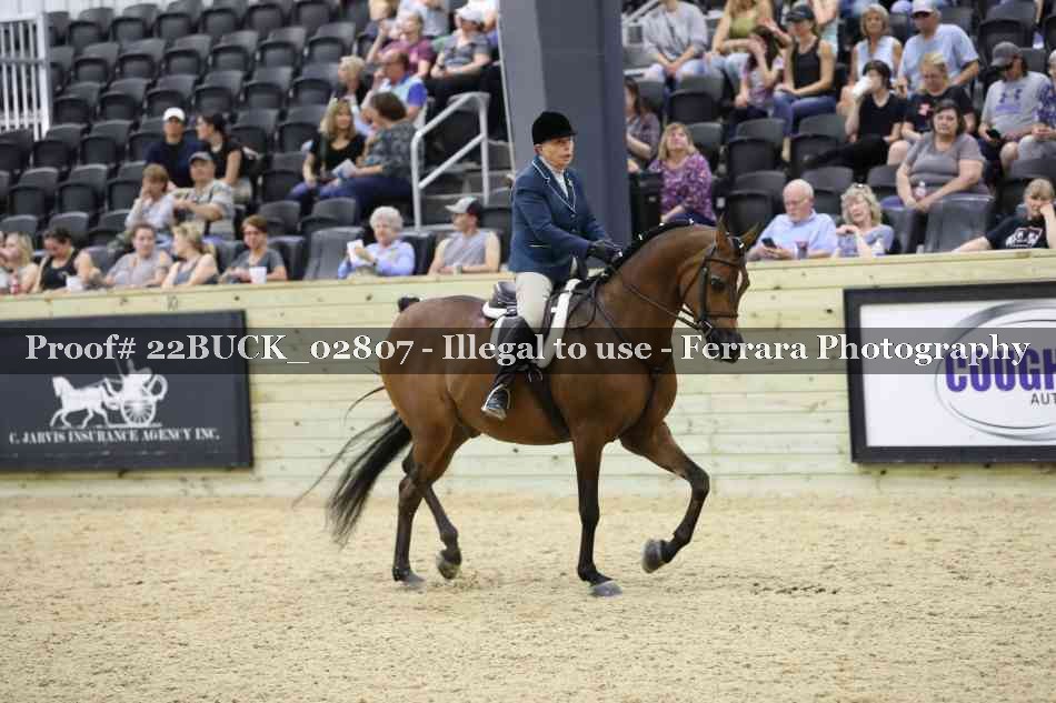 Proof 22BUCK_02807