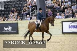 22BUCK_02807 proof