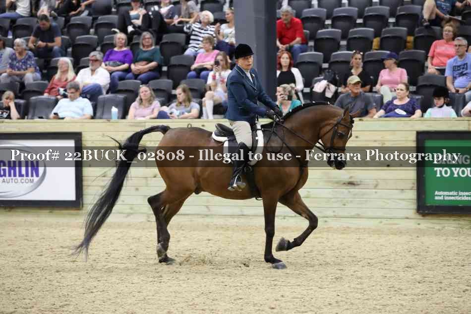 Proof 22BUCK_02808