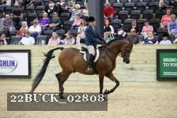 22BUCK_02808 proof