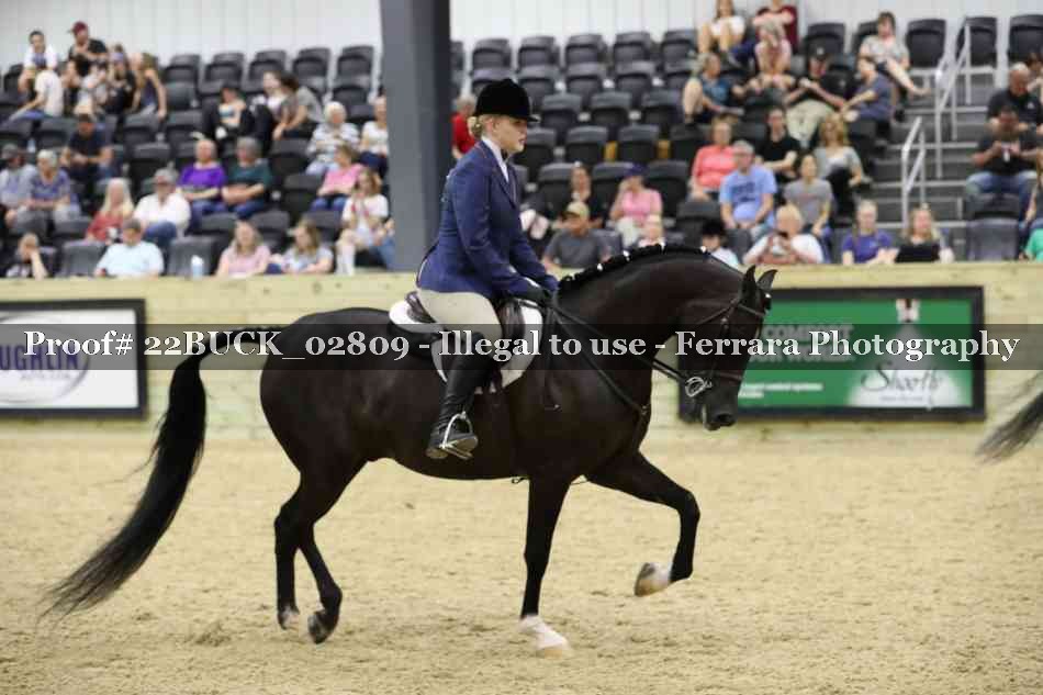 Proof 22BUCK_02809