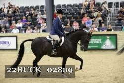 22BUCK_02809 proof