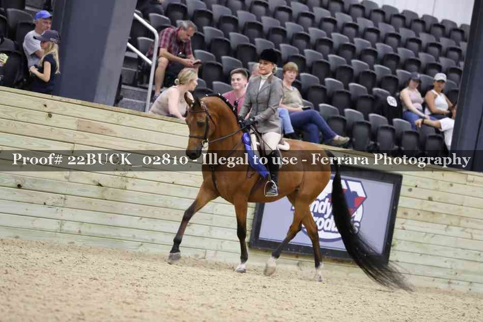 Proof 22BUCK_02810