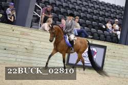 22BUCK_02810 proof