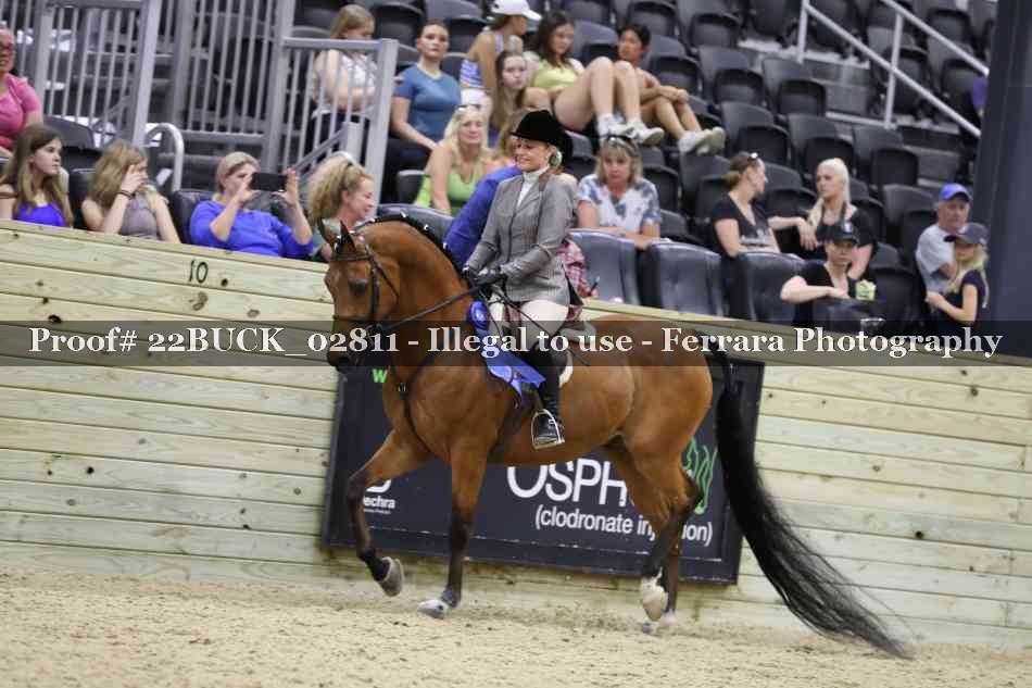 Proof 22BUCK_02811