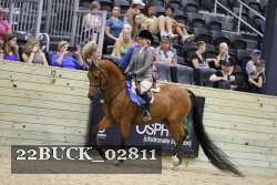 22BUCK_02811 proof
