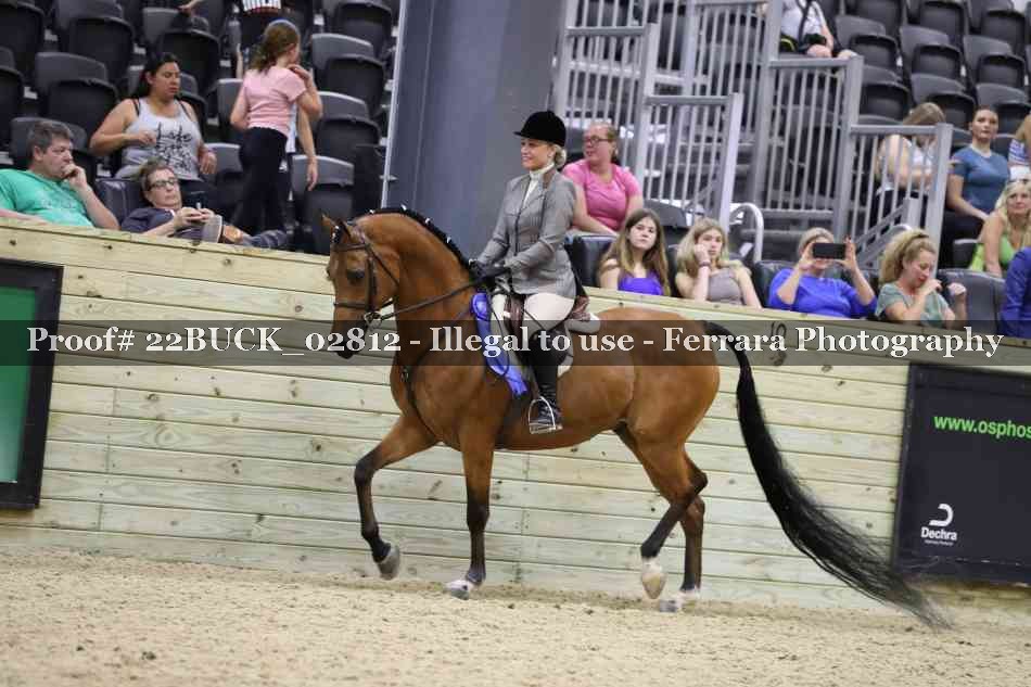 Proof 22BUCK_02812