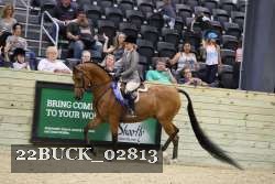 22BUCK_02813 proof