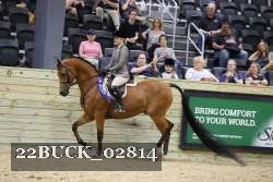 22BUCK_02814 proof