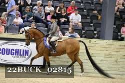 22BUCK_02815 proof