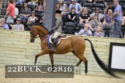 22BUCK_02816 proof