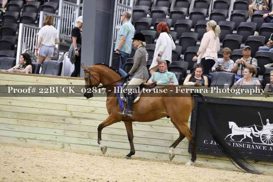 Proof 22BUCK_02817