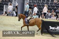 22BUCK_02817 proof