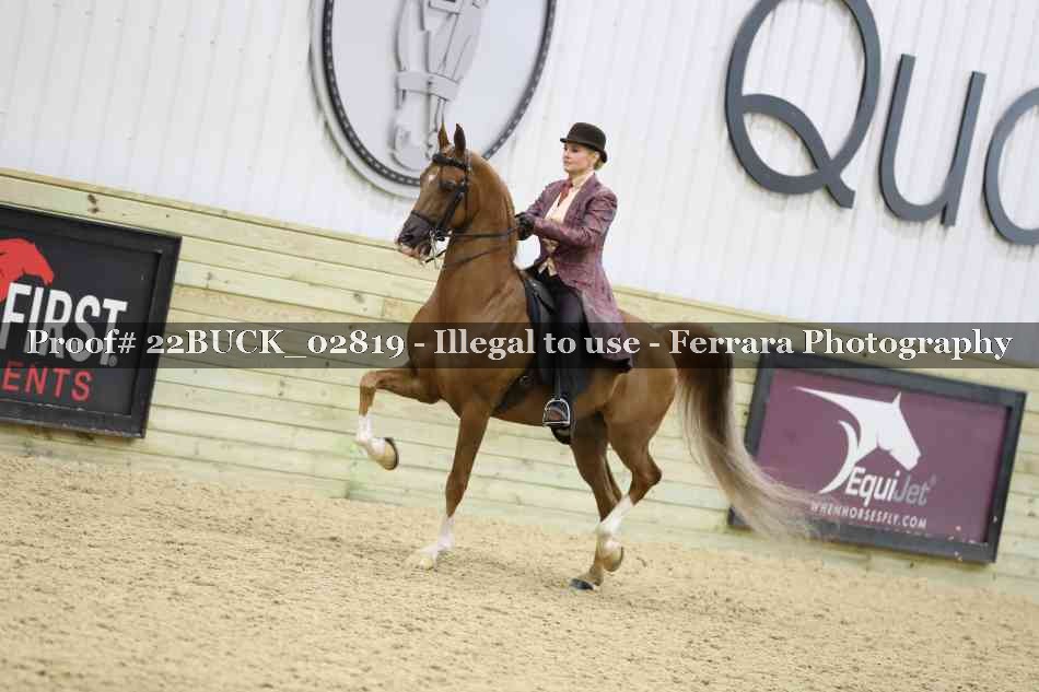 Proof 22BUCK_02819