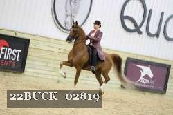 22BUCK_02819 proof
