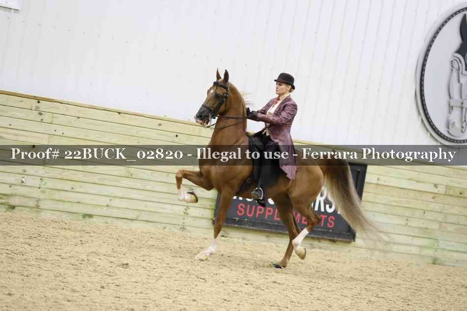 Proof 22BUCK_02820
