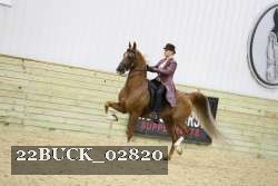 22BUCK_02820 proof
