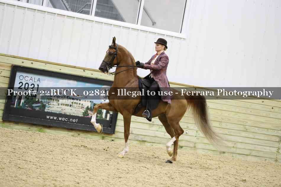Proof 22BUCK_02821